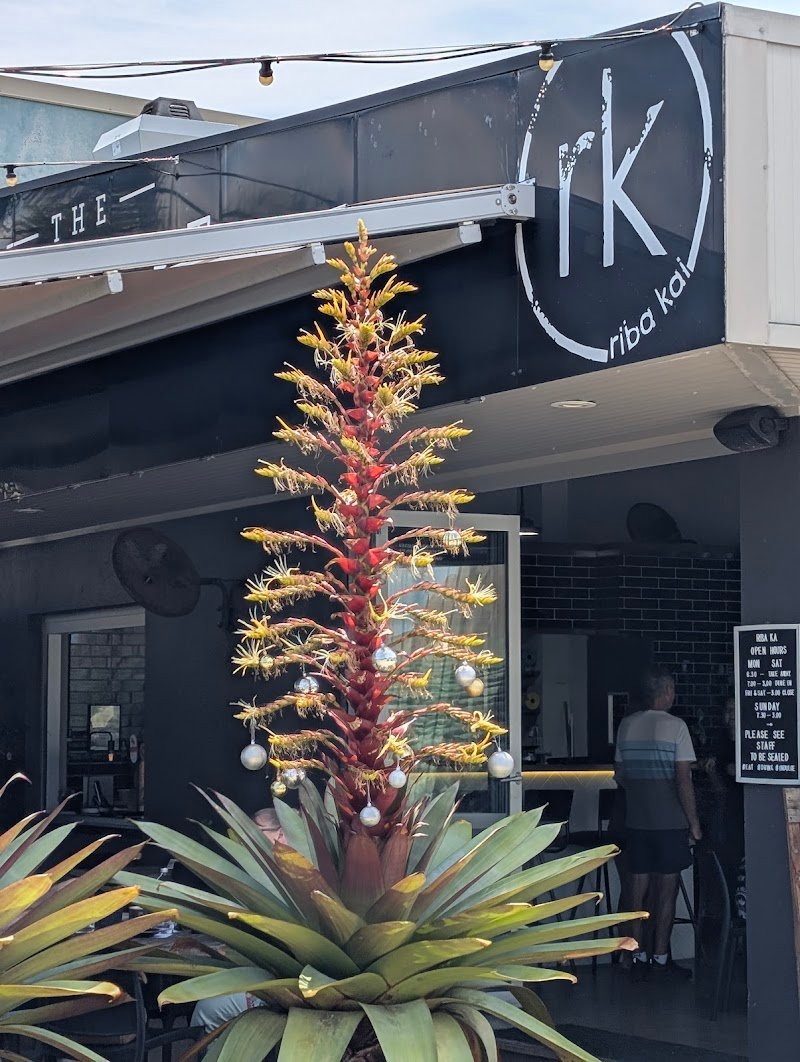 Riba Kai photo 5