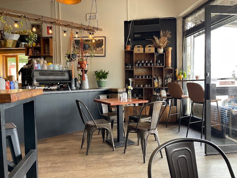 Fox & Giraffe photo 4