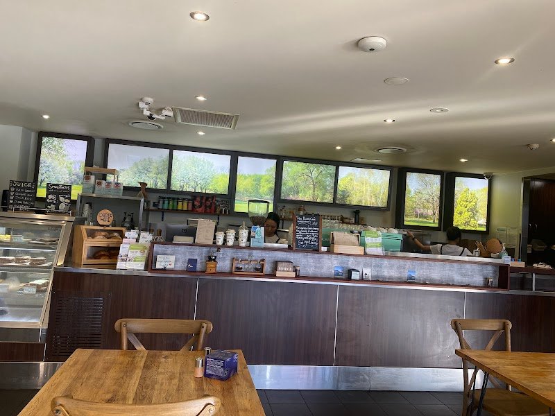 Grounding Cafe photo 6