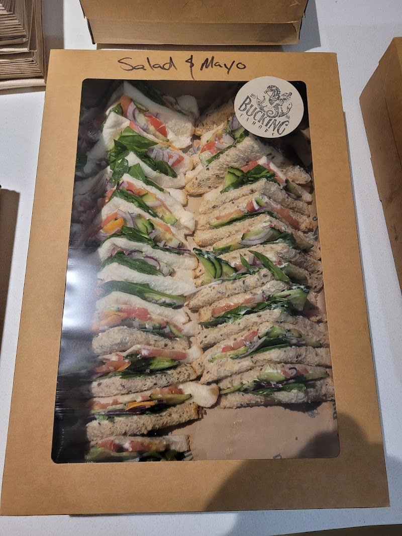 Bucking Seahorse Cafe photo 7