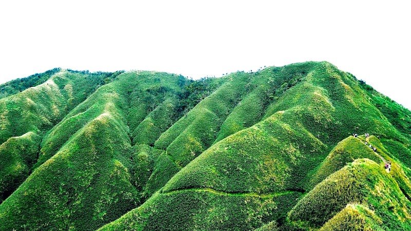 Abel Land Cafe photo 3