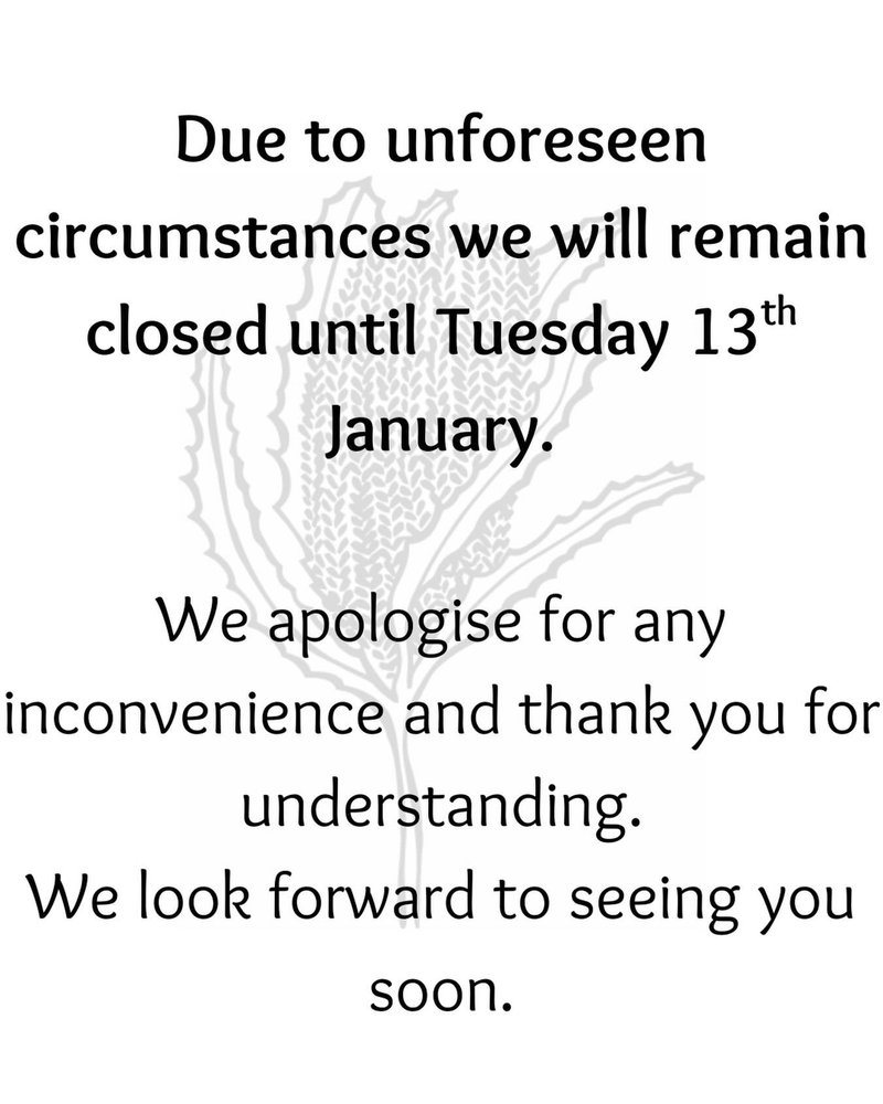 The Little Banksia photo 3