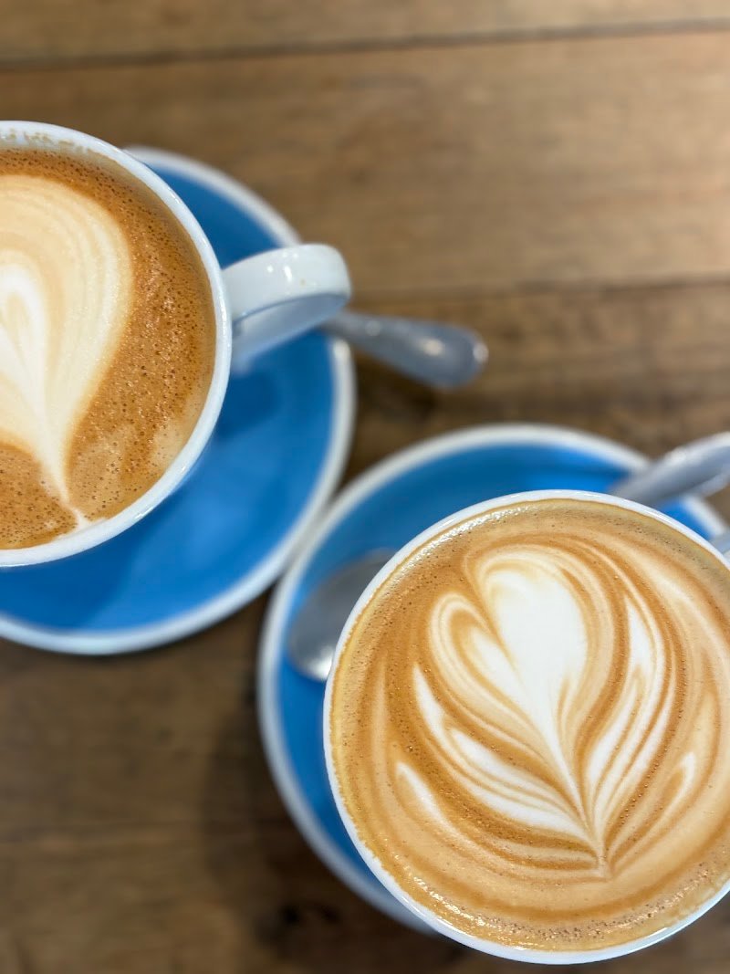 Little Willy's photo 4