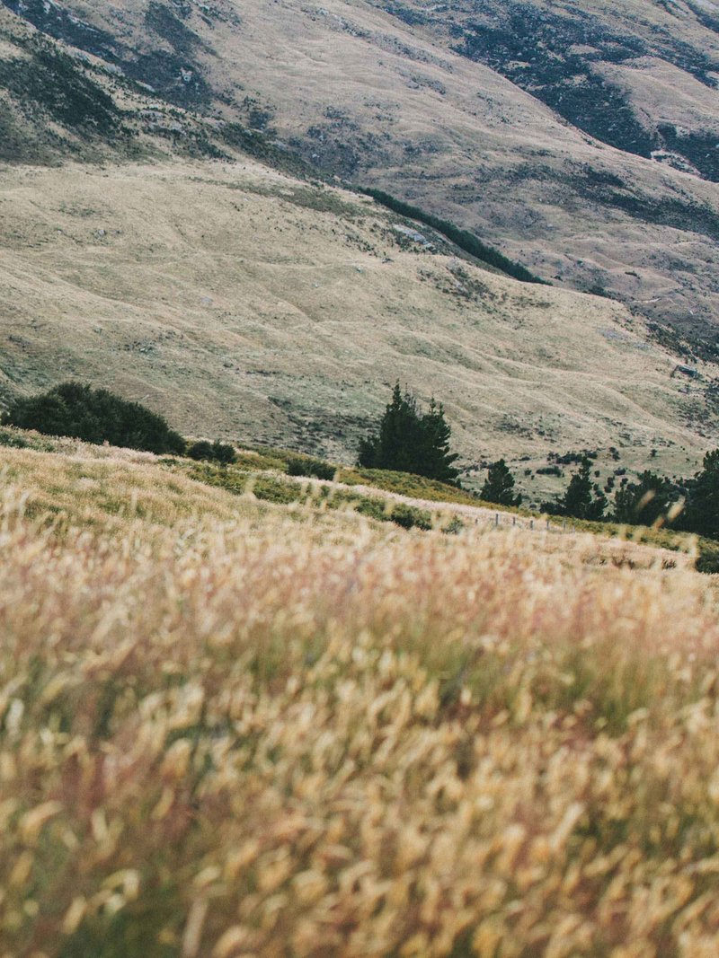 The Milk Bar Coffee Co photo 8